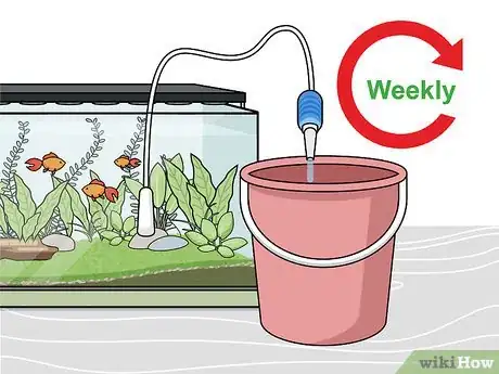 Image intitulée Grow Freshwater Aquarium Plants Step 13