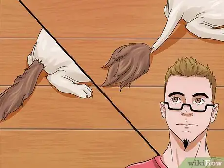 Image intitulée Shave a Cat Step 19
