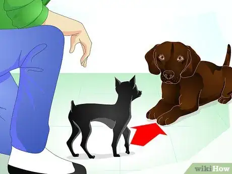 Image intitulée Stop Dog Marking Behaviors Step 19