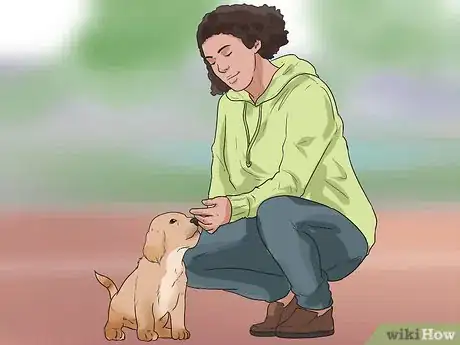 Image intitulée Train Your Dog to Not Run Away Step 4