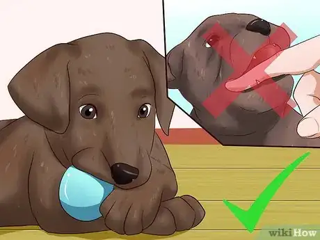 Image intitulée Get Your Puppy to Stop Biting Step 12