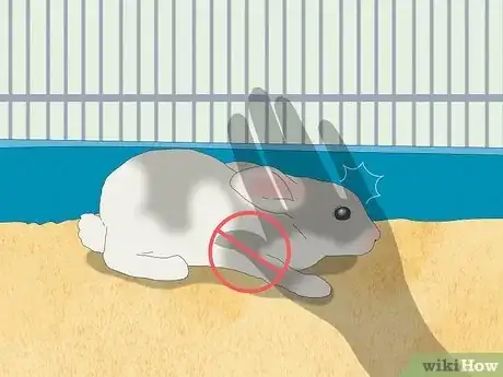 Image intitulée Pet a Rabbit Step 5