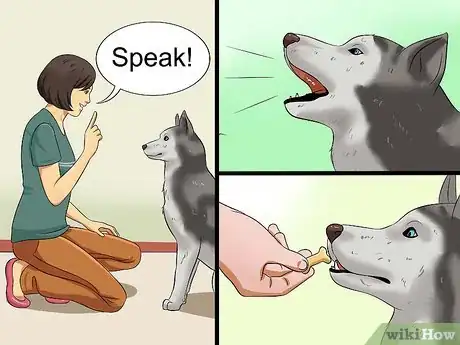 Image intitulée Teach Your Dog to Speak Step 7