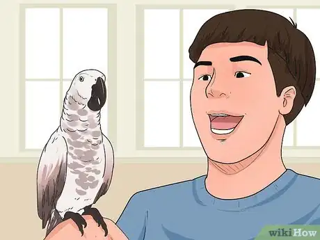 Image intitulée Teach Your Bird to Talk Step 6