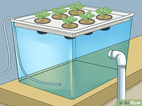 Image intitulée Build a Homemade Hydroponics System Step 13