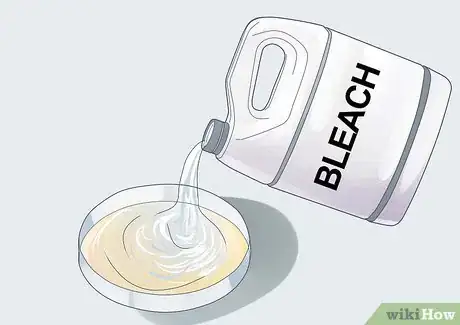 Image intitulée Grow Bacteria in a Petri Dish Step 10