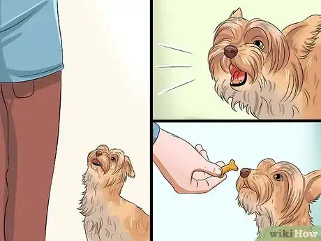 Image intitulée Teach Your Dog to Speak Step 5