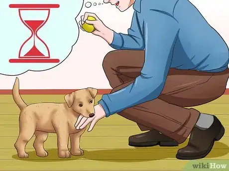 Image intitulée Get Your Puppy to Stop Biting Step 10