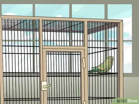 Image intitulée Amuse Your Parakeet or Other Bird Step 12