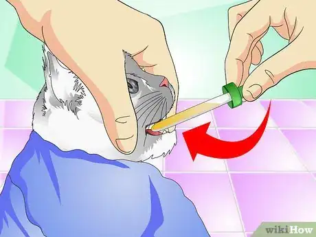 Image intitulée Give Cats Liquid Medicine Step 8