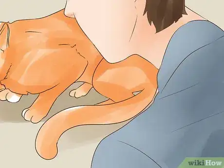 Image intitulée Know if Your Cat Is Dying Step 5