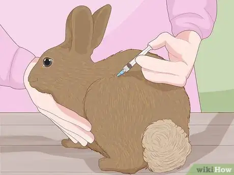 Image intitulée Care for a New Pet Rabbit Step 21