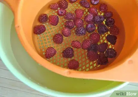 Image intitulée Store Raspberries Step 10