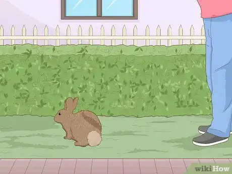 Image intitulée Care for a New Pet Rabbit Step 15