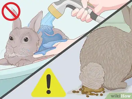 Image intitulée Care for a New Pet Rabbit Step 22