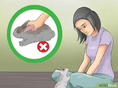 Image intitulée Catch a Pet Rabbit Step 5