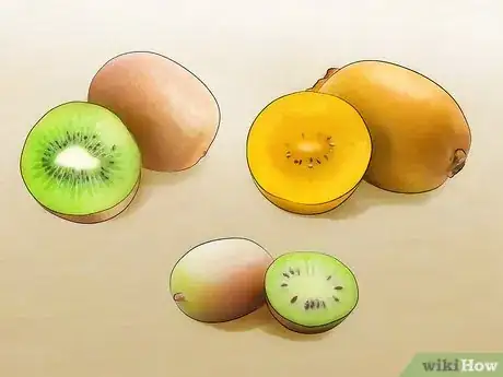 Image intitulée Grow Kiwifruit Step 1