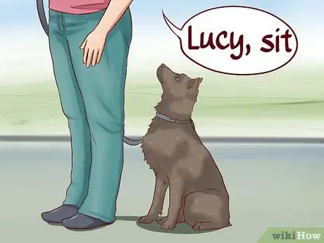 Image intitulée Teach Your Dog Basic Commands Step 24