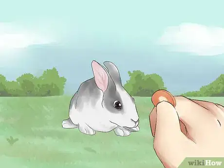 Image intitulée Catch a Pet Rabbit Step 3