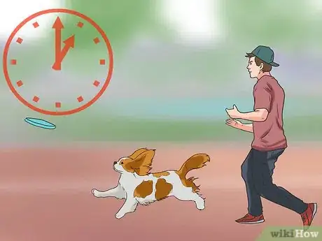 Image intitulée Train Cavalier King Charles Spaniels Step 11