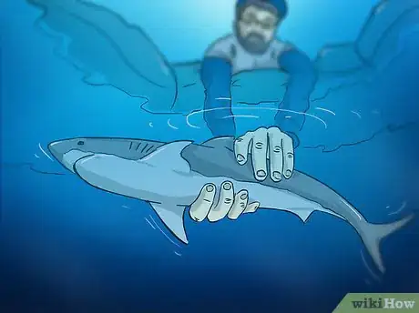 Image intitulée Fish for Shark Step 12