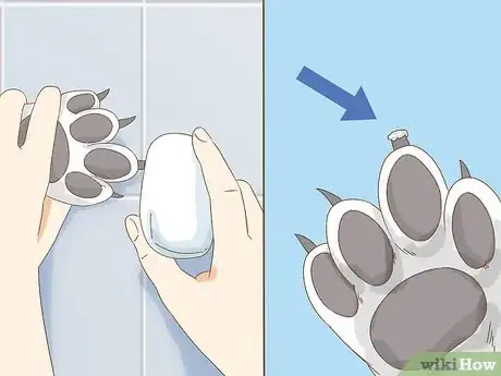 Image intitulée Stop a Dog's Quick from Bleeding Step 10