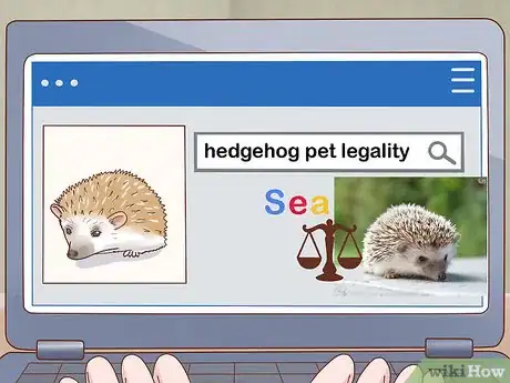 Image intitulée Take Care of a Hedgehog Step 1