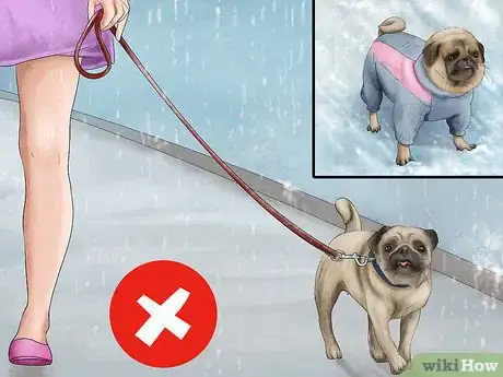 Image intitulée Care for a Pug Step 11