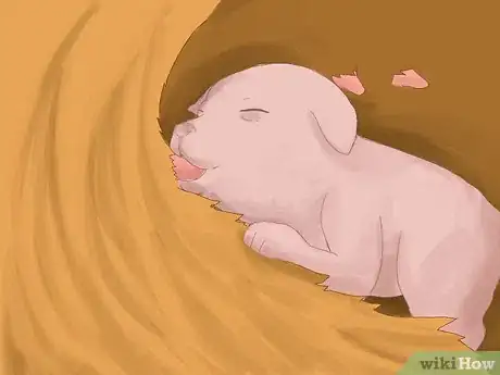 Image intitulée Care for Newborn Puppies Step 24