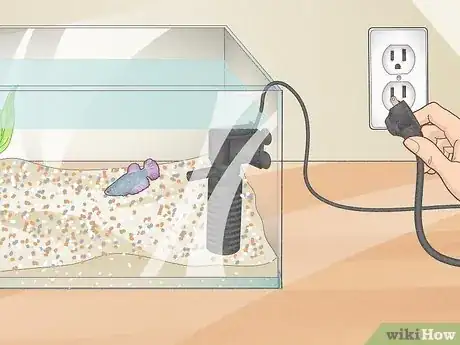 Image intitulée Clean a Betta Fish Tank Step 2