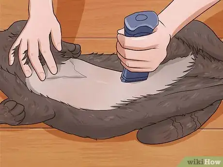 Image intitulée Shave a Cat Step 15