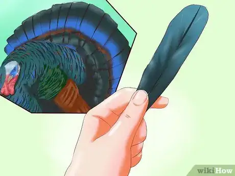 Image intitulée Sex Turkeys Step 12