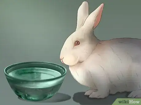 Image intitulée Care for a New Pet Rabbit Step 14