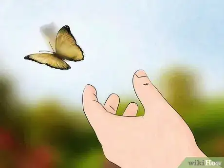 Image intitulée Take Care of a Caterpillar Until It Turns Into a Butterfly or Moth Step 18