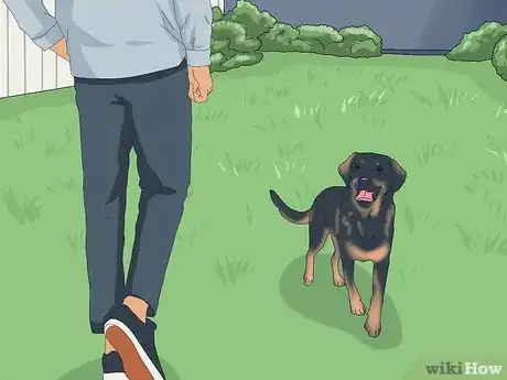 Image intitulée Pet a Dog Step 2