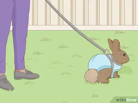 Image intitulée Care for a New Pet Rabbit Step 16