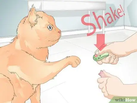 Image intitulée Teach Your Cat to Give a Handshake Step 13