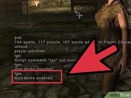 Image intitulée Cheat on Skyrim Step 2