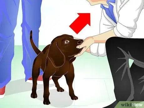 Image intitulée Stop Dog Marking Behaviors Step 21
