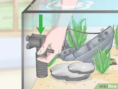 Image intitulée Set up a Tropical Freshwater Aquarium Step 10