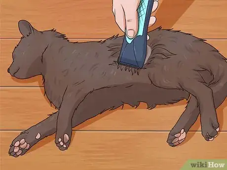 Image intitulée Shave a Cat Step 11