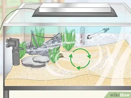 Image intitulée Set up a Tropical Freshwater Aquarium Step 14