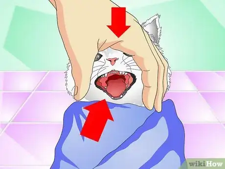 Image intitulée Give Cats Liquid Medicine Step 6