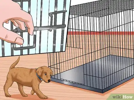 Image intitulée Obedience Train Your Puppy Before It's 10 Weeks Old Step 4