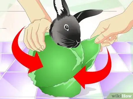 Image intitulée Cut a Rabbit's Claws Step 8
