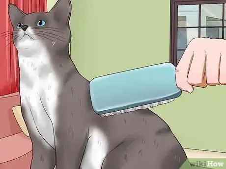 Image intitulée Clean Your Cat When He Can't Do It Himself Step 2