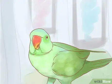 Image intitulée Care for a Parrot Step 19