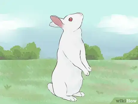 Image intitulée Read Bunny Ear Signals Step 9