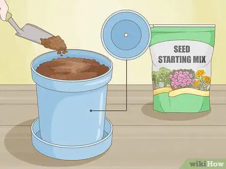 Image intitulée Grow Lettuce Indoors Step 2