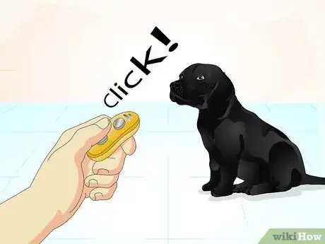 Image intitulée Train a Naughty Labrador Step 10